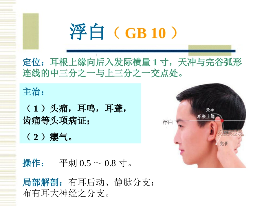 经络腧穴各论1足少阳胆经及其腧穴_第11页