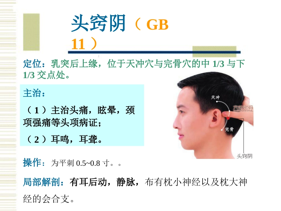 经络腧穴各论1足少阳胆经及其腧穴_第12页