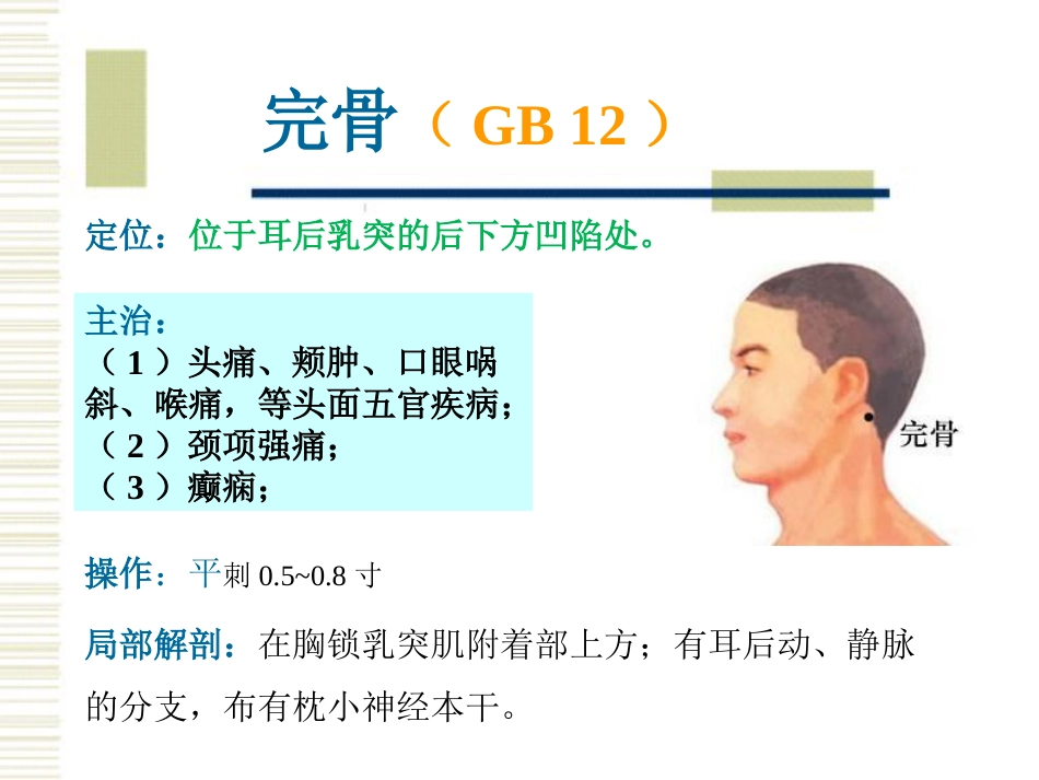 经络腧穴各论1足少阳胆经及其腧穴_第13页