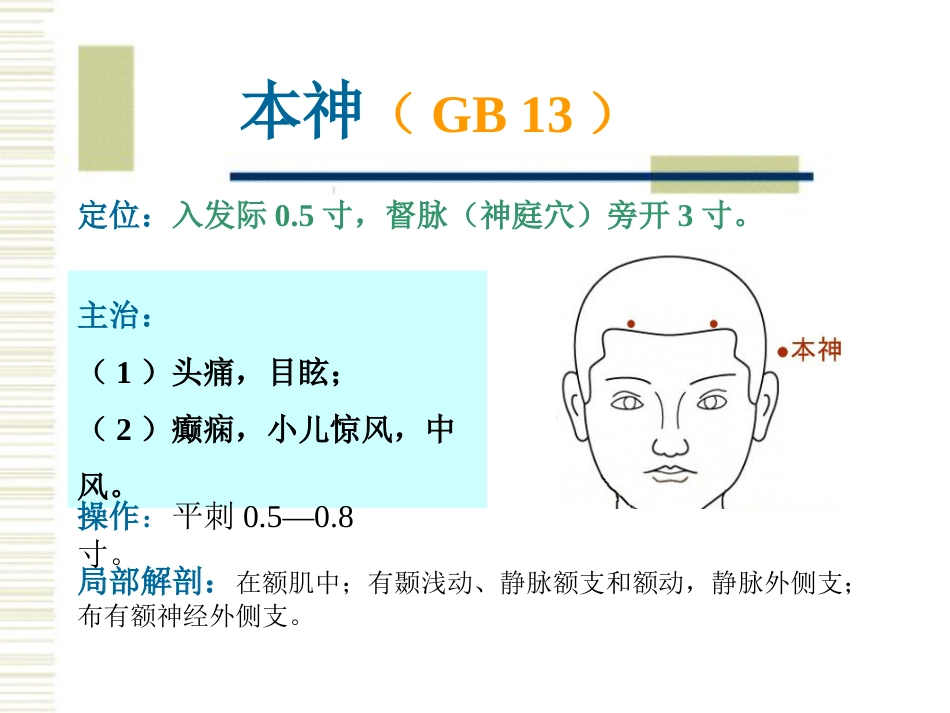 经络腧穴各论1足少阳胆经及其腧穴_第14页