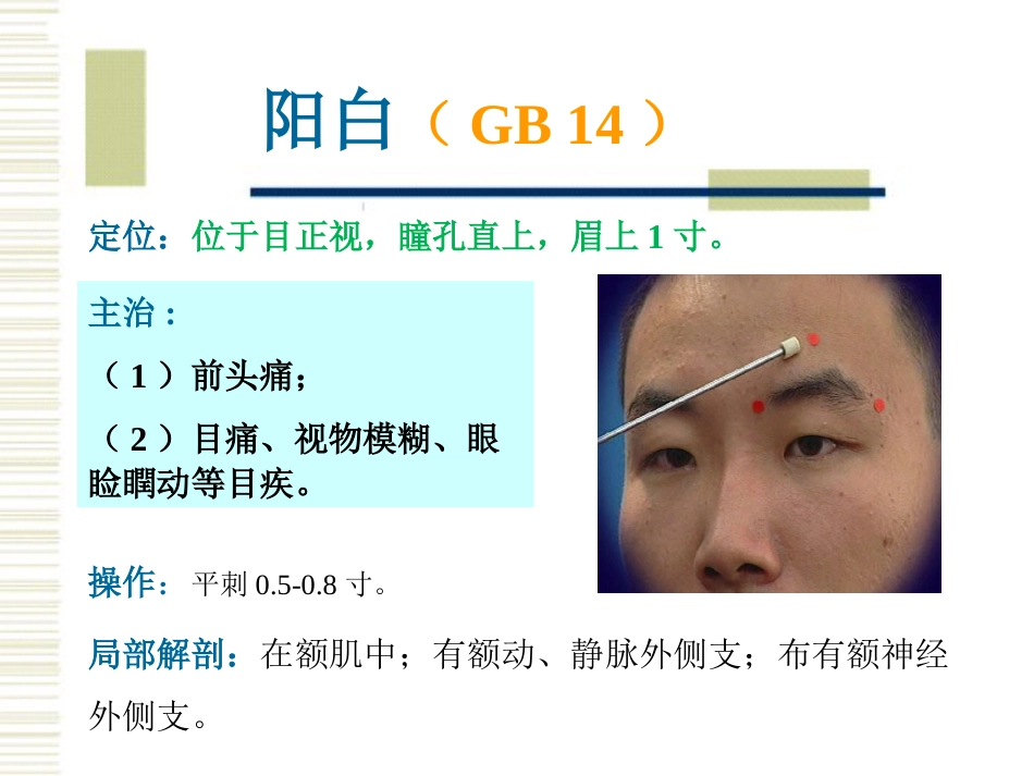 经络腧穴各论1足少阳胆经及其腧穴_第15页