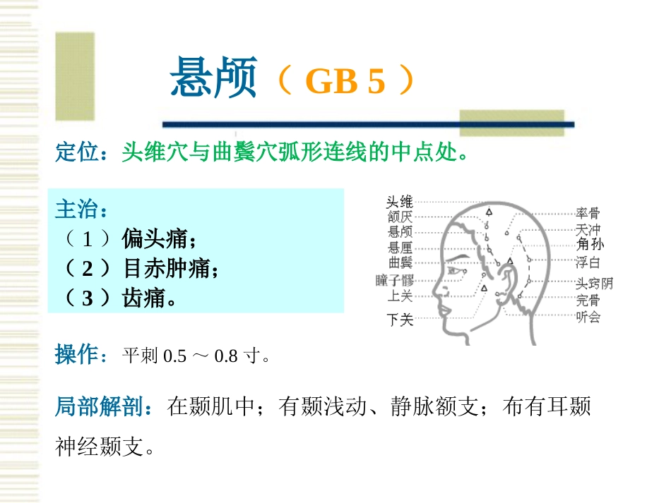 经络腧穴各论1足少阳胆经及其腧穴_第6页