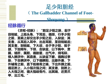经络腧穴各论1足少阳胆经及其腧穴