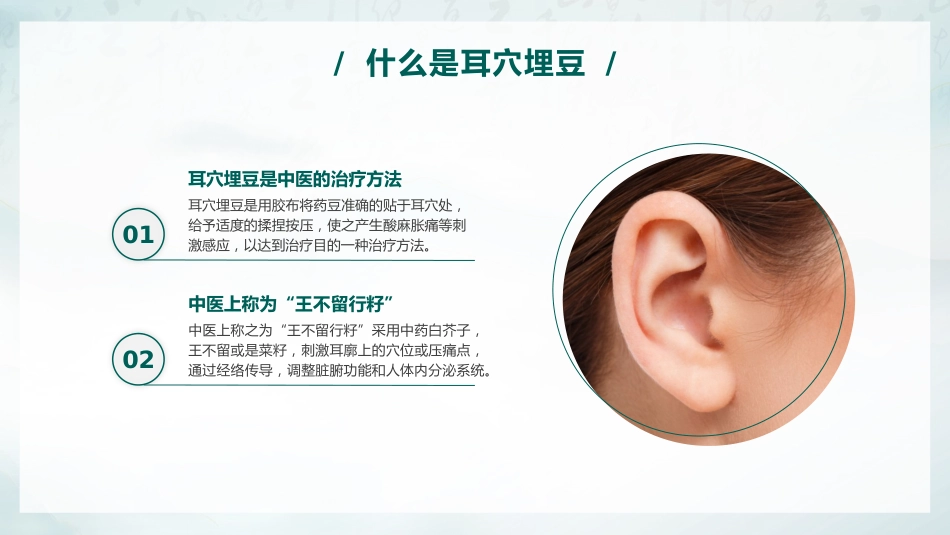 中医治疗：耳穴埋豆_第4页
