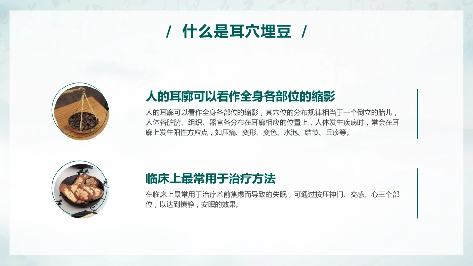 中医治疗：耳穴埋豆_第5页