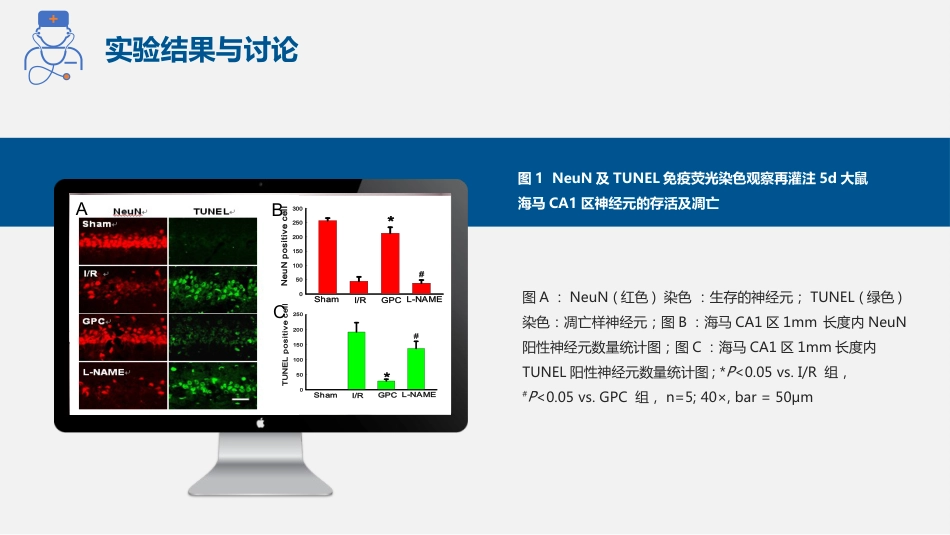 医学生实验设计大赛ppt模板_第12页