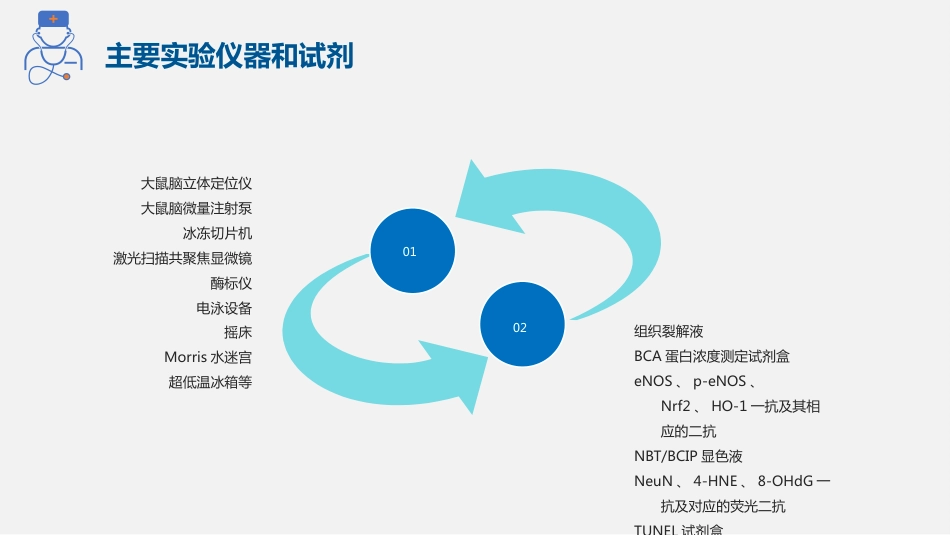 医学生实验设计大赛ppt模板_第7页