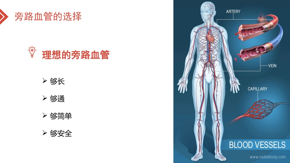北京高校青年教师教学比赛获奖课件-医学类-冠心病的外科治疗_第14页