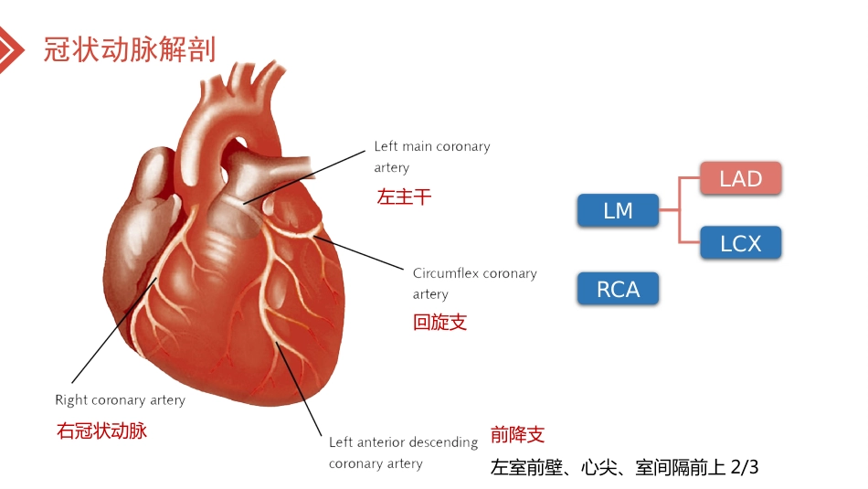 北京高校青年教师教学比赛获奖课件-医学类-冠心病的外科治疗_第2页