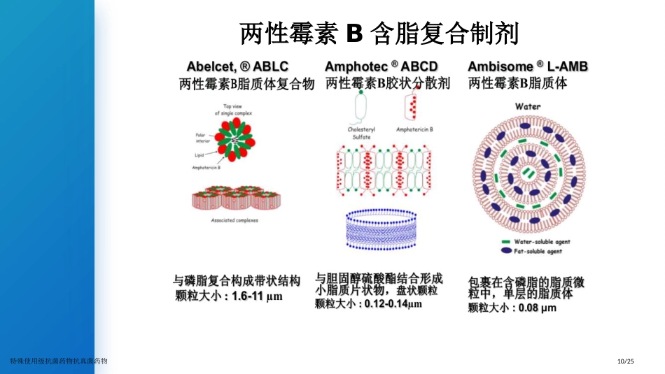 特殊使用级抗菌药物抗真菌药物_第10页