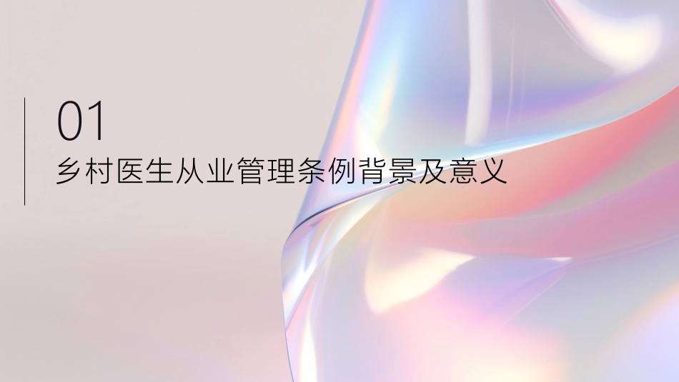 乡村医生从业管理条例_第2页