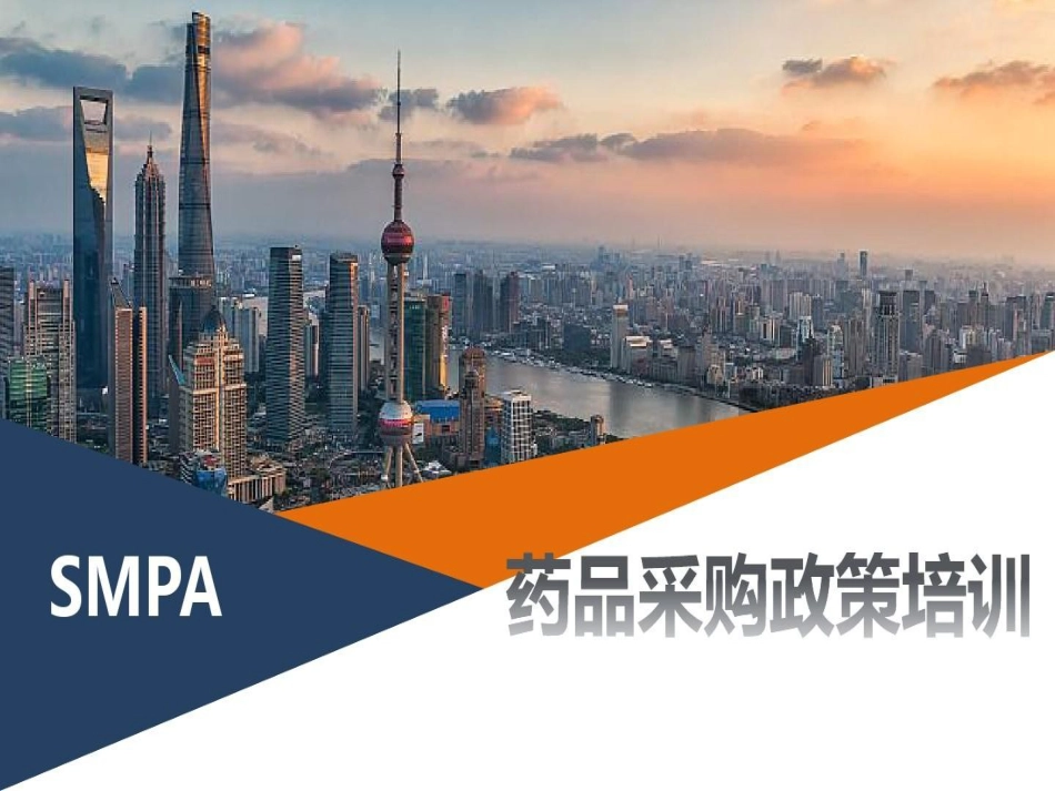 药品采购政策培训共页PPT_第2页