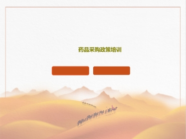 药品采购政策培训共页PPT