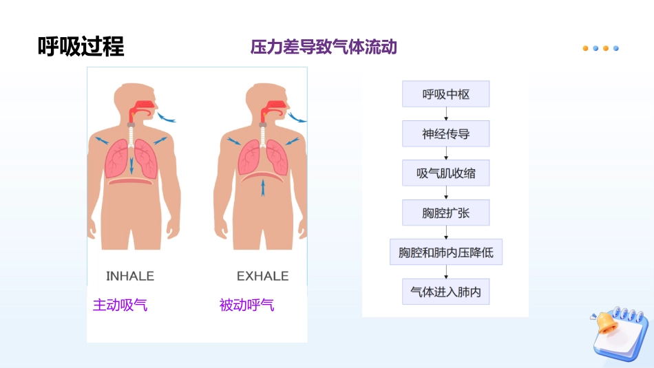 呼吸机机械通气基本原理及常用模式_第5页
