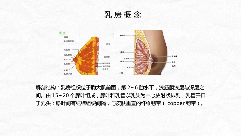 急性乳腺炎护理_第4页
