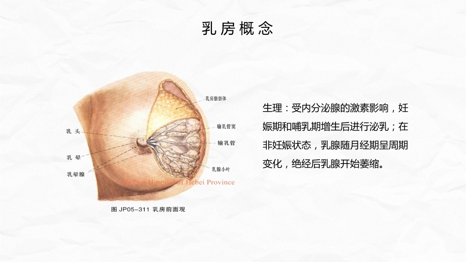 急性乳腺炎护理_第5页