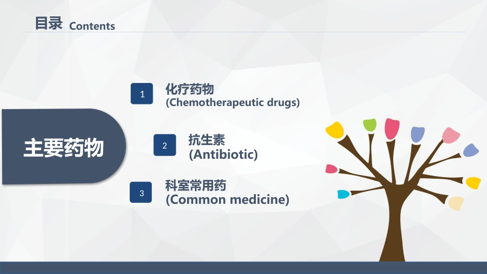 药物的不良反应及注意事项_第2页