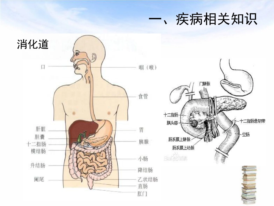 下消化道出血伴失血性休克护理查房_第3页