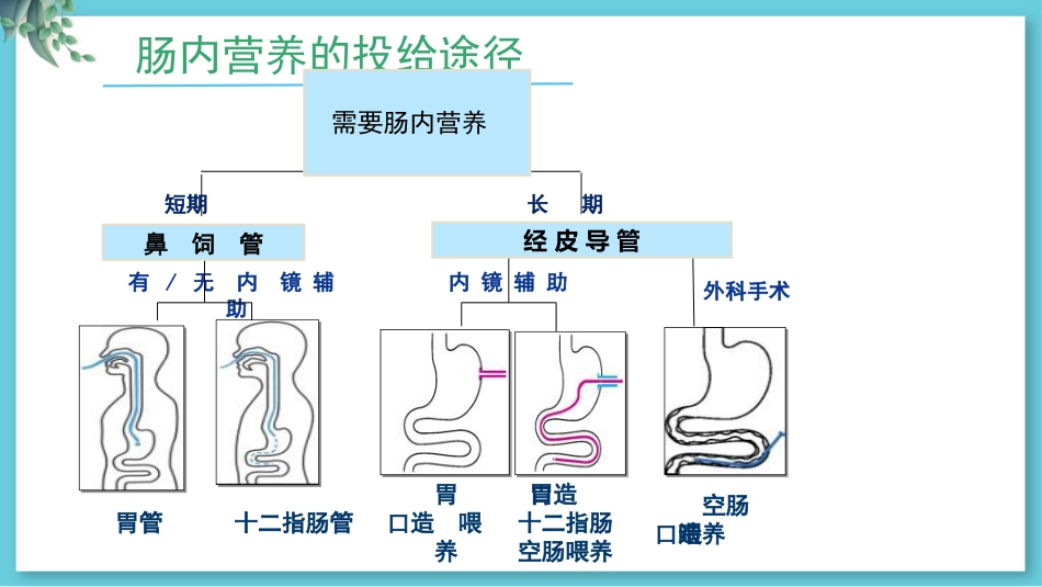 危重病人肠内营养支持与治疗_第10页