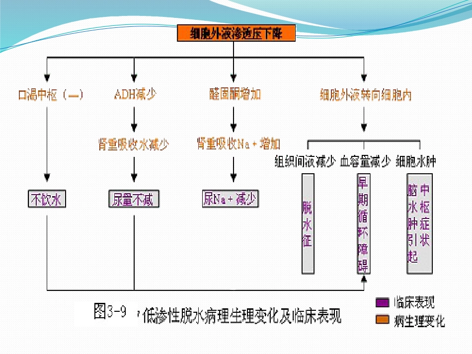 01.低渗性脱水_第11页