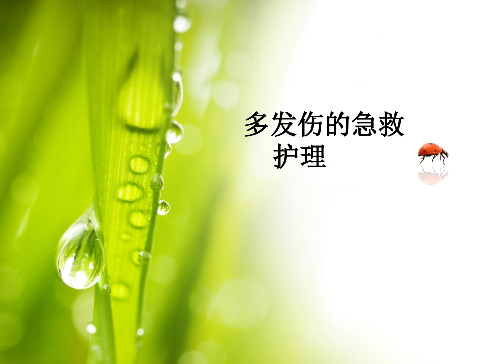 04.多发伤的急救护理郑磊_第1页