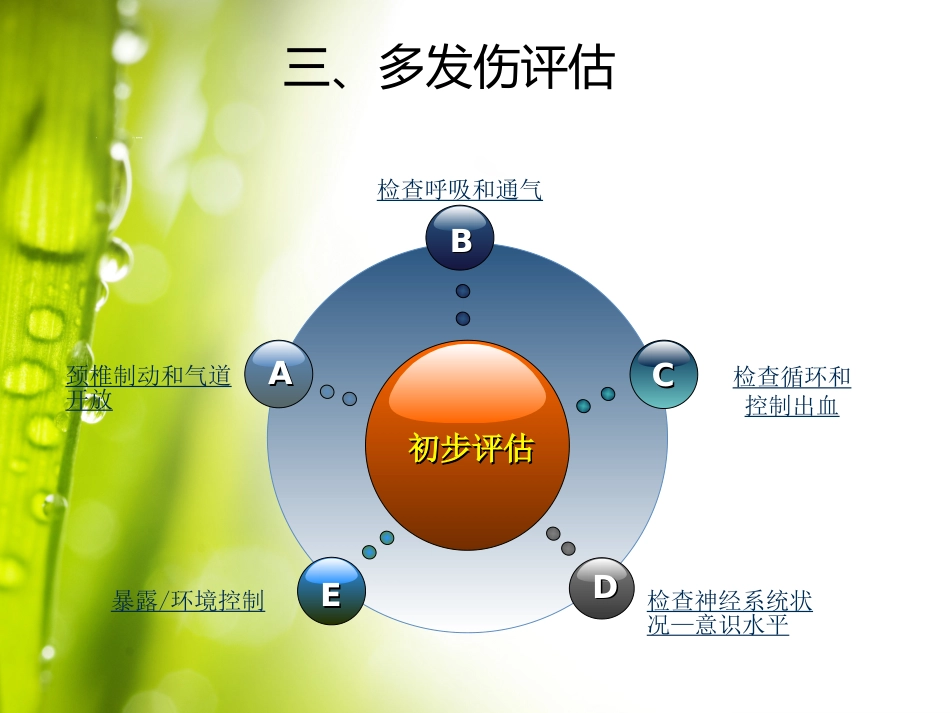 04.多发伤的急救护理郑磊_第11页
