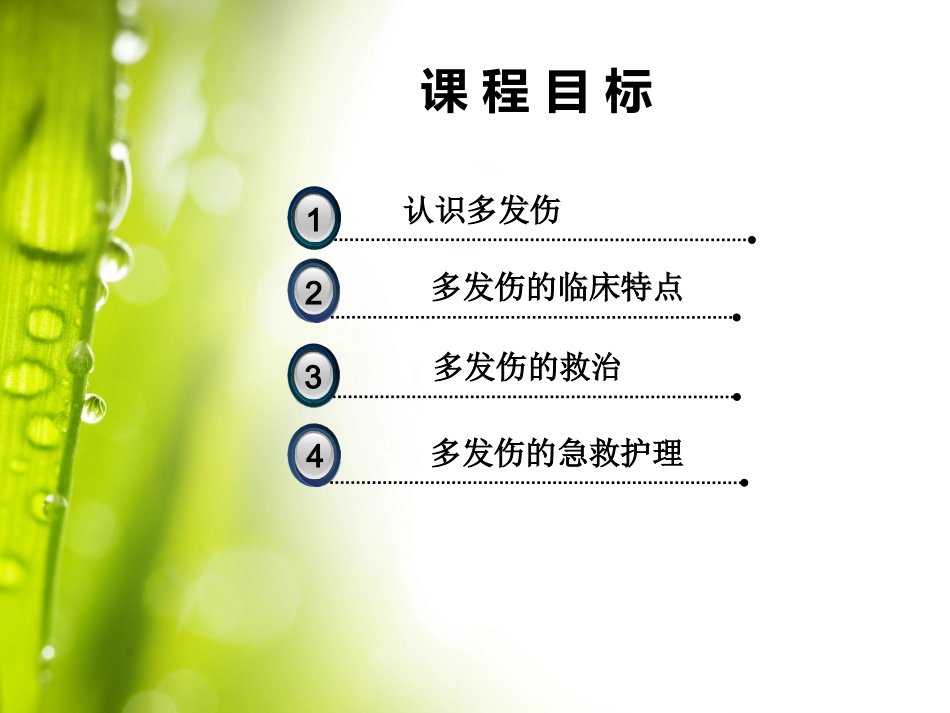 04.多发伤的急救护理郑磊_第3页