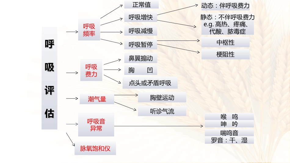07.儿科呼吸系统急症应急处理流程_第5页