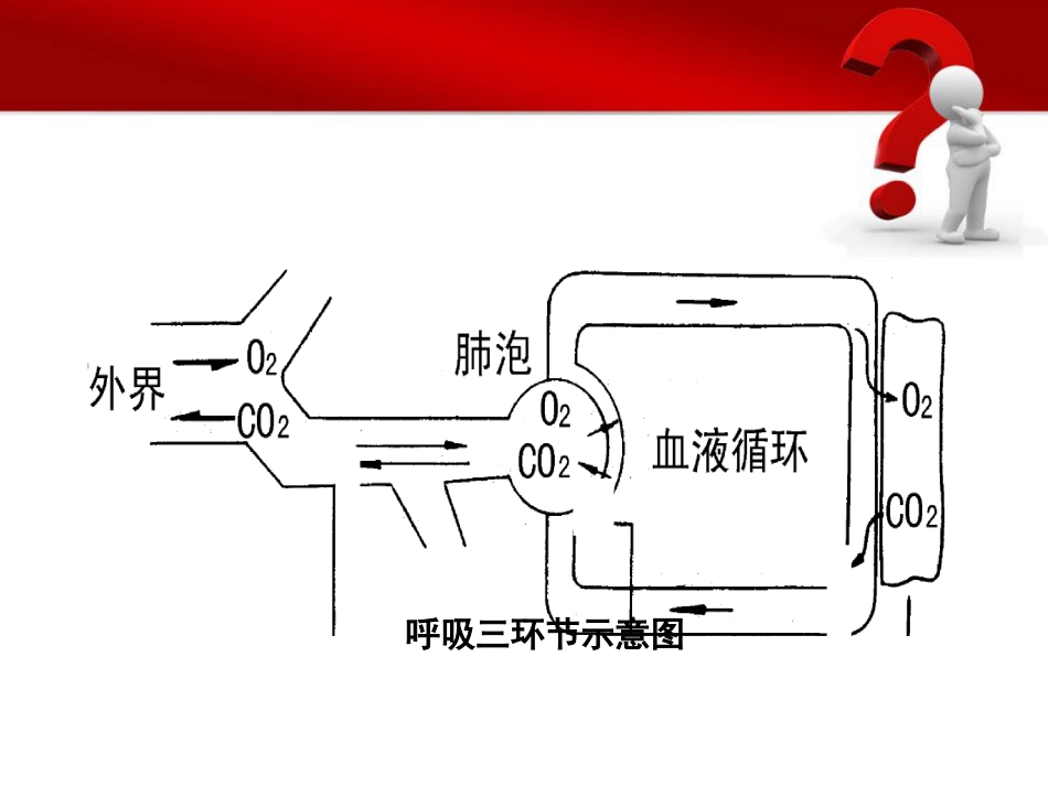 08.高级的心血管生命支持ppt_第10页
