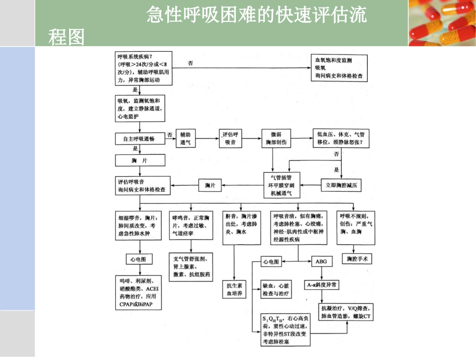 11.呼吸困难_第13页
