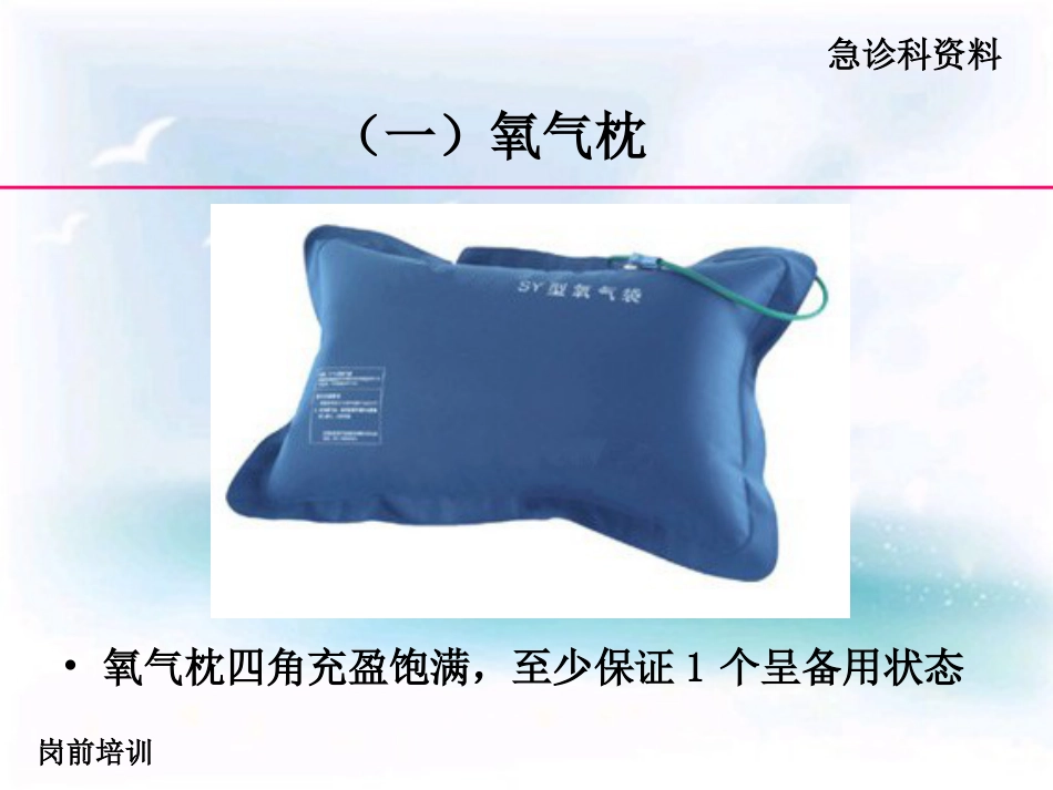 16.急救仪器管理岗前培训_第14页