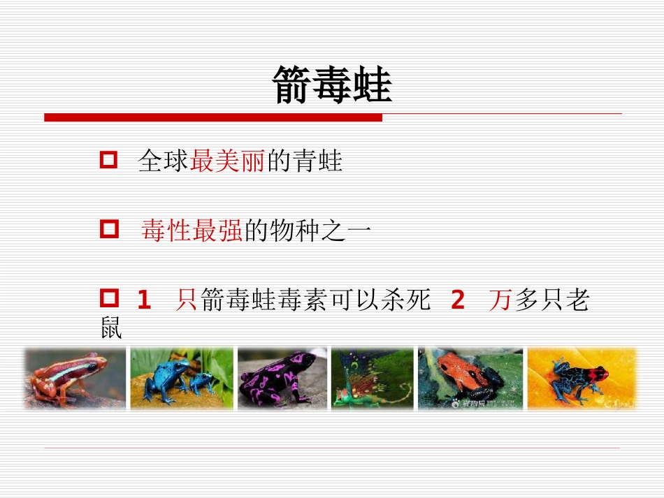25.急性中毒 (2)_第3页