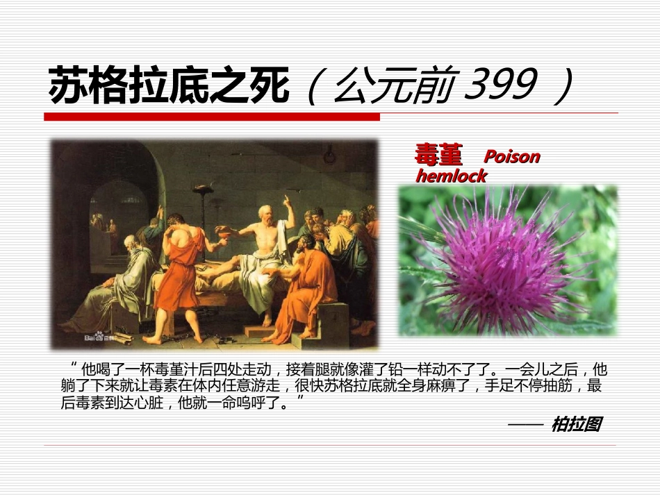 25.急性中毒 (2)_第7页