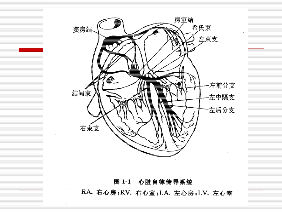 27.急诊班心律失常_第6页
