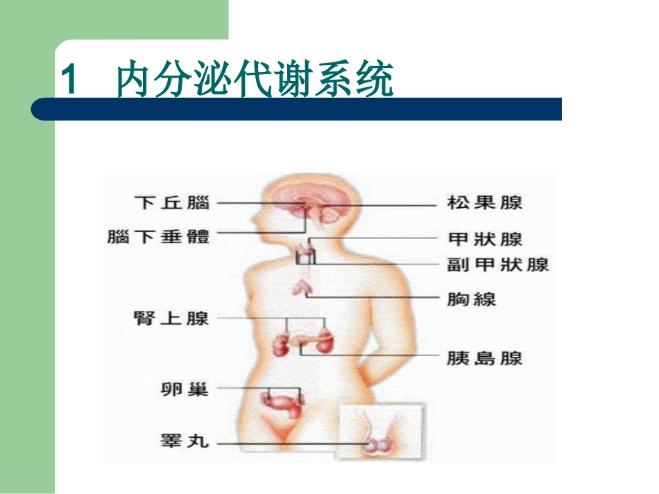 29.临床危象的诊断与救治_第4页
