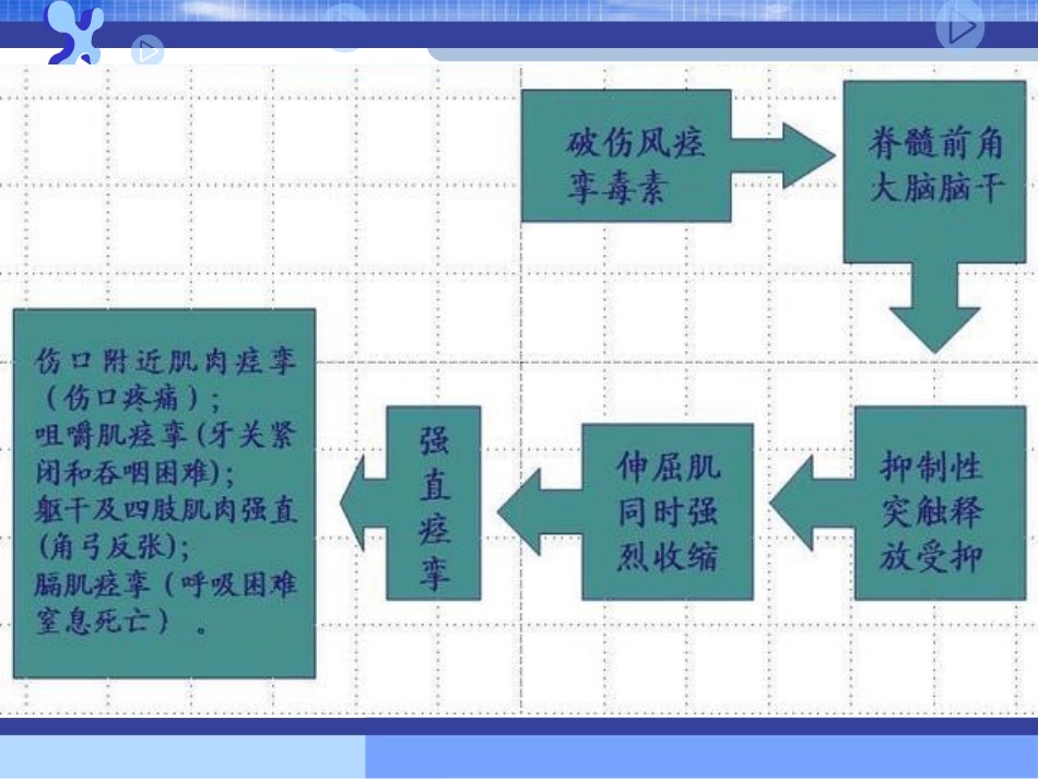 31.破伤风的临床分级及治疗_第3页