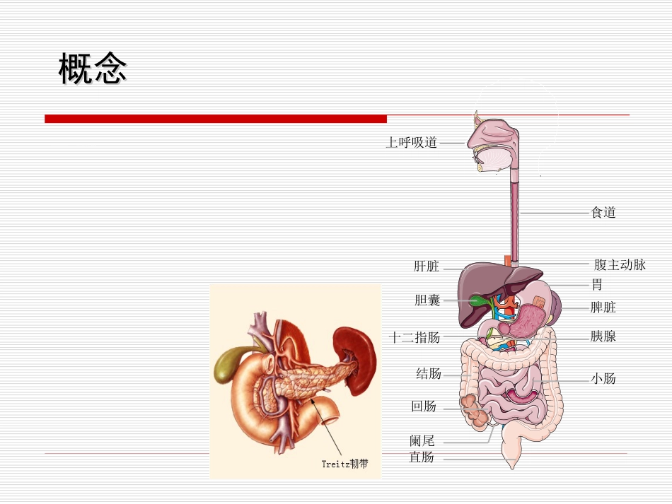 34.上消化道大出血_第3页