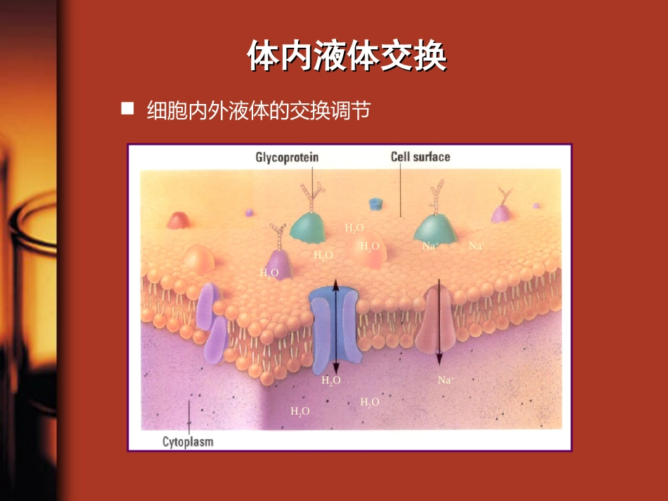 35.水、电解质与酸碱平衡紊乱_第5页