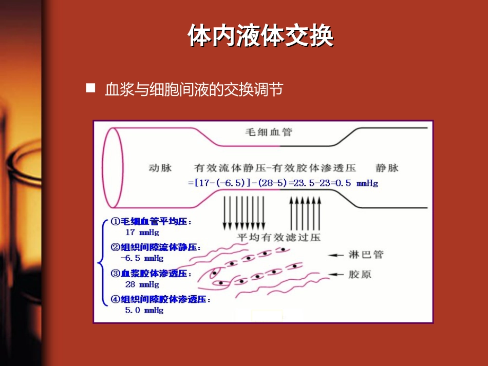 35.水、电解质与酸碱平衡紊乱_第6页