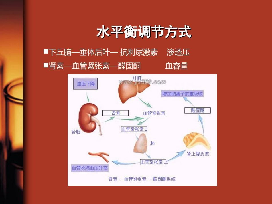 35.水、电解质与酸碱平衡紊乱_第9页