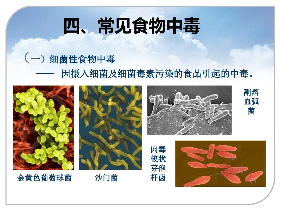 36.常见中毒急救_第12页