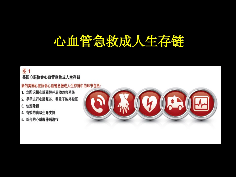 46.心肺脑复苏_第10页