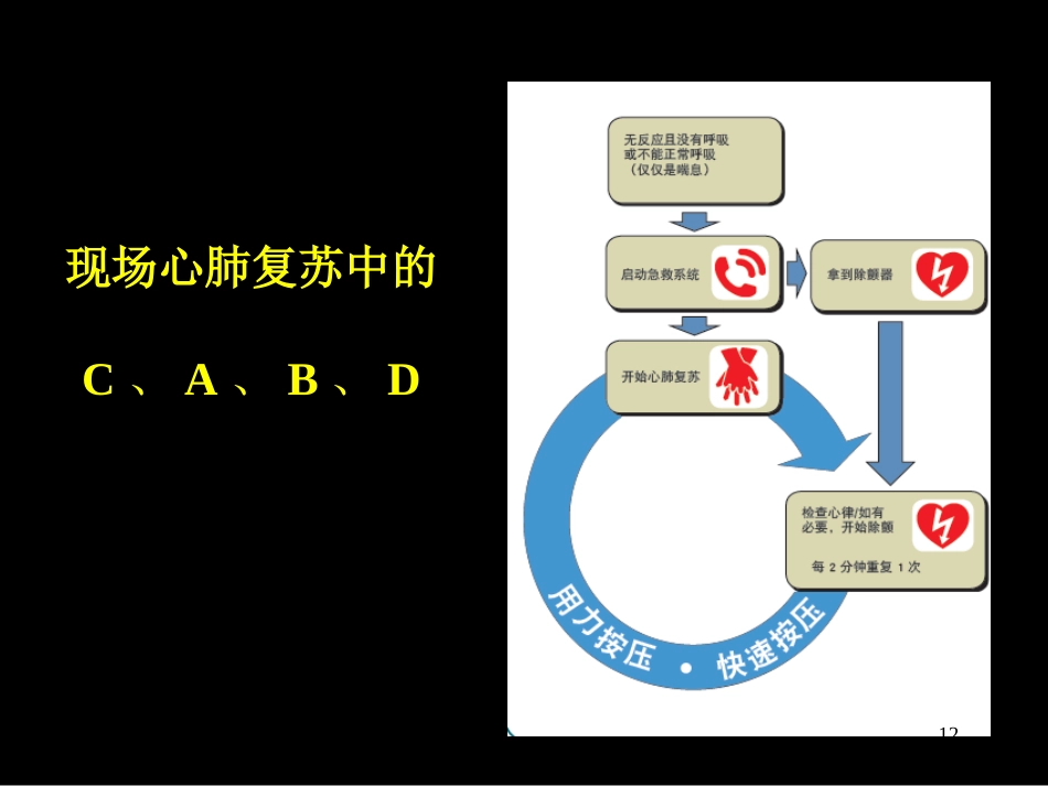 46.心肺脑复苏_第12页