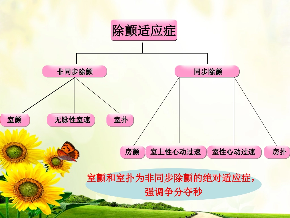 47.心脏电除颤_第11页