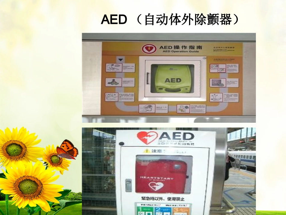 47.心脏电除颤_第7页