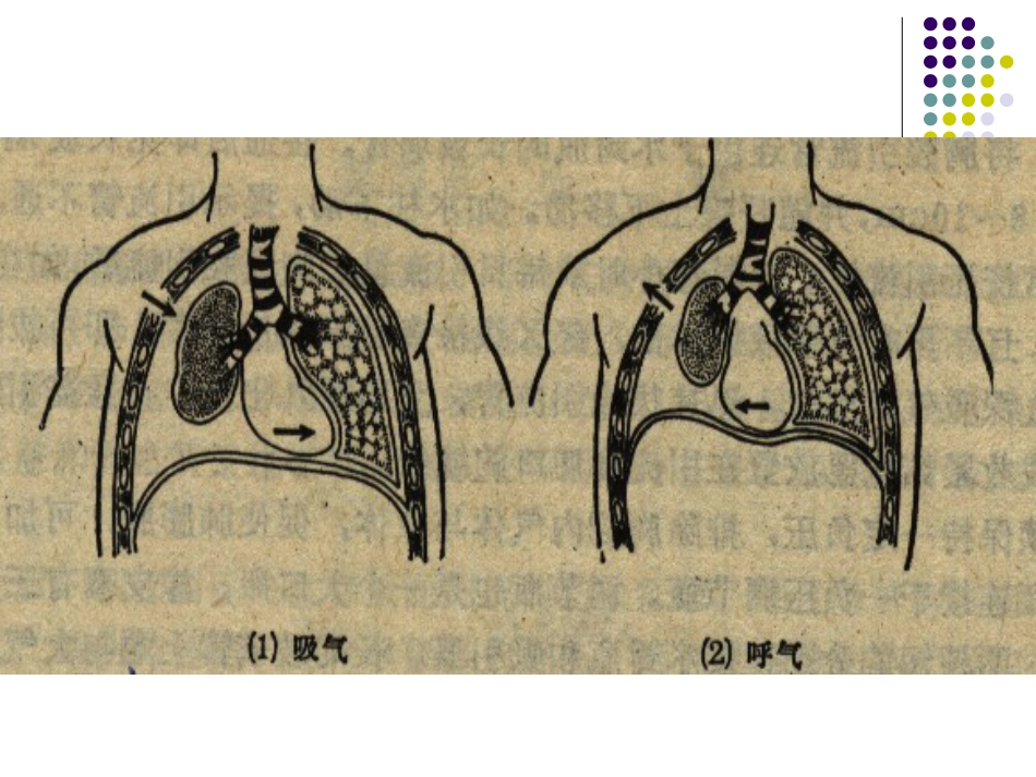 51.胸外急救_第15页