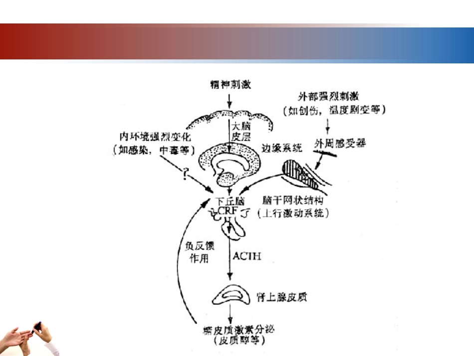 55.应激性高血糖_第3页
