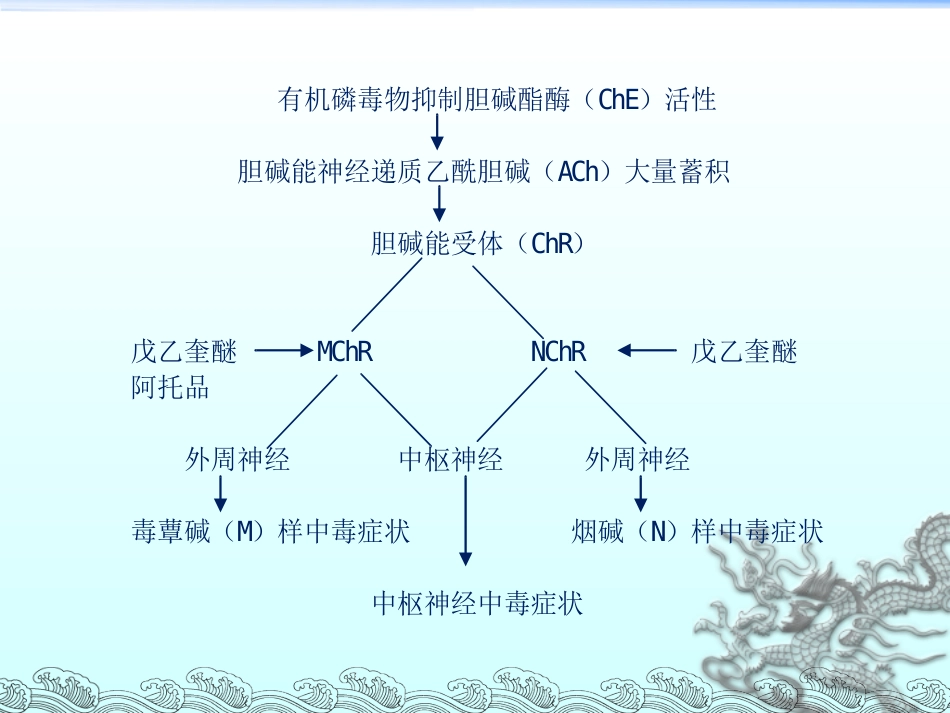56.有机磷毒物中毒救治_第10页