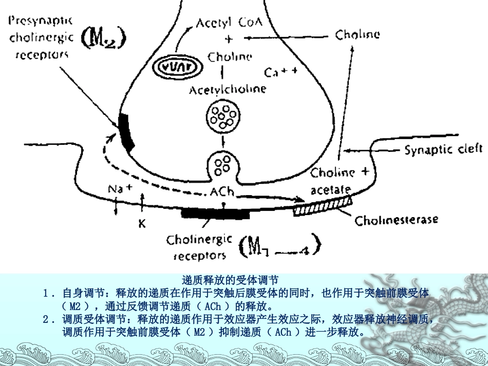 56.有机磷毒物中毒救治_第11页
