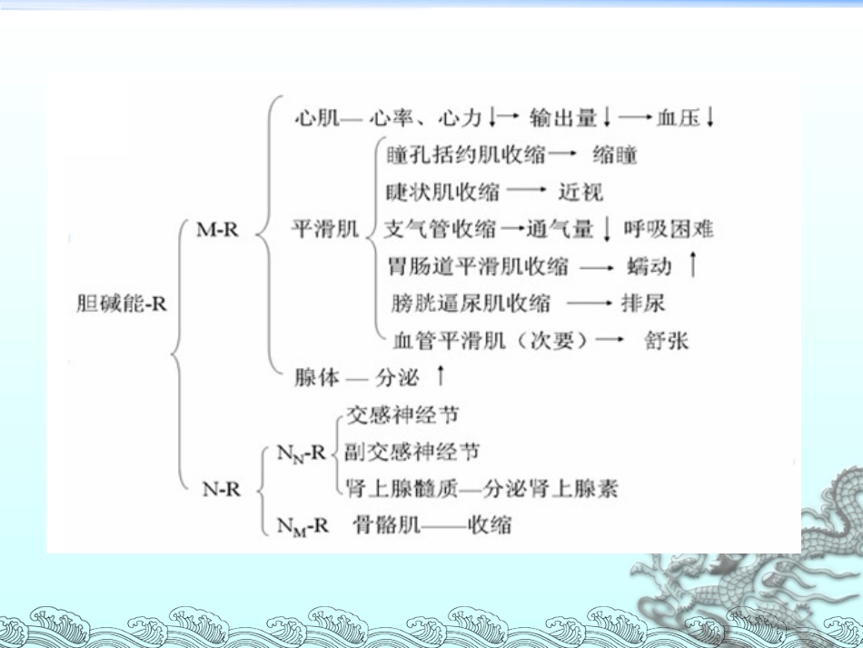 56.有机磷毒物中毒救治_第13页